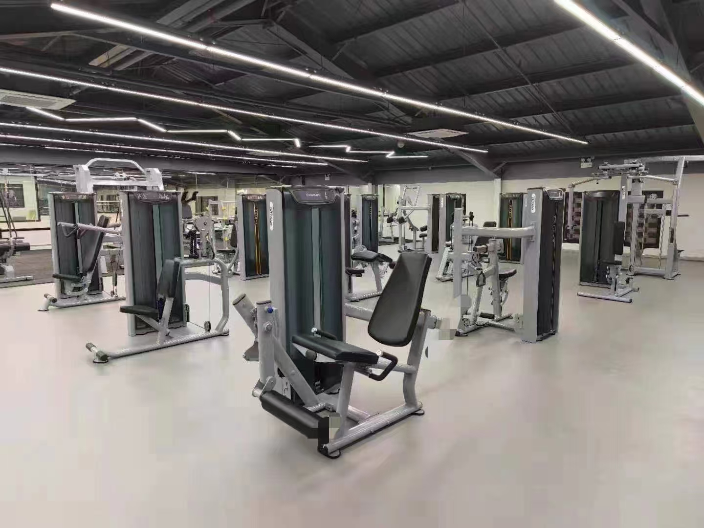 Selectorized Strength Area